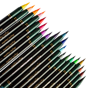 Luxury Single Brush Pen Gift Set - 20 Colors