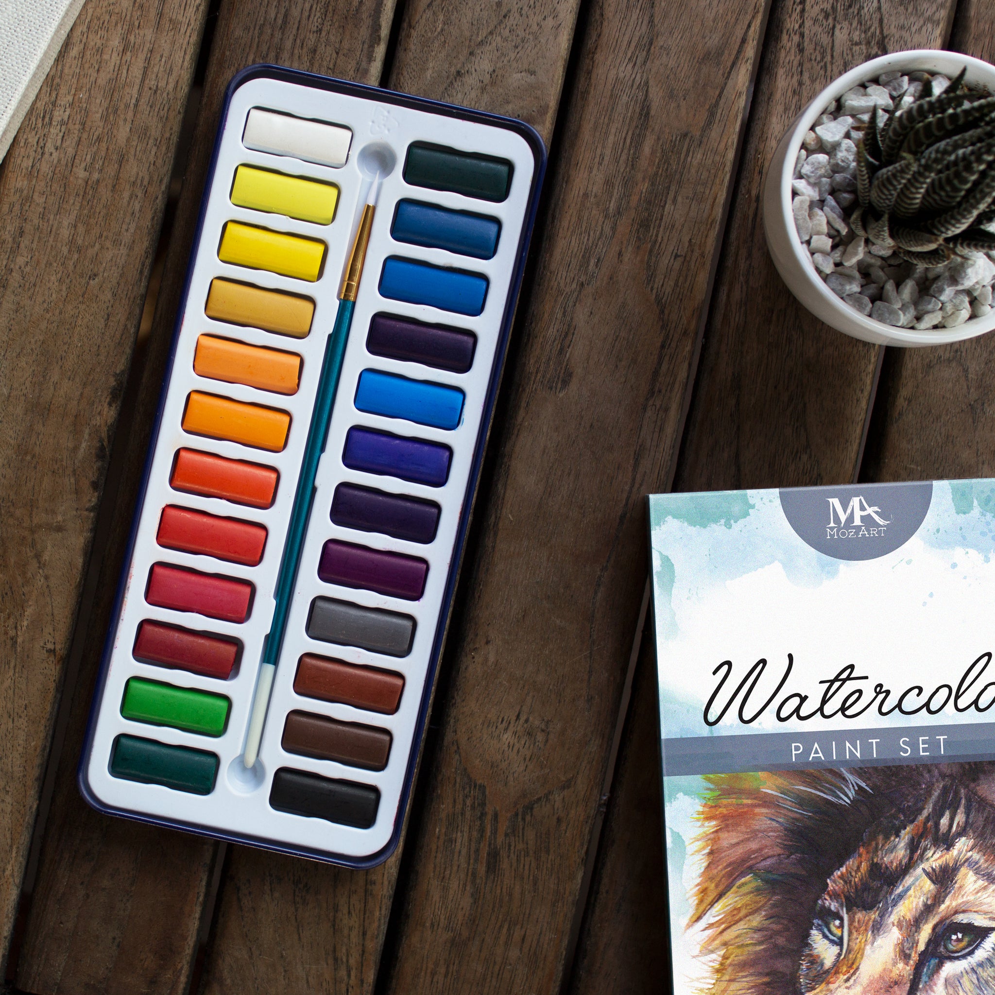 Watercolor Supplies for Beginners – Camera and a Canvas